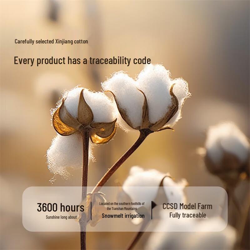 Mercury Home Textiles Single Xinjiang Cotton Winter Quilt