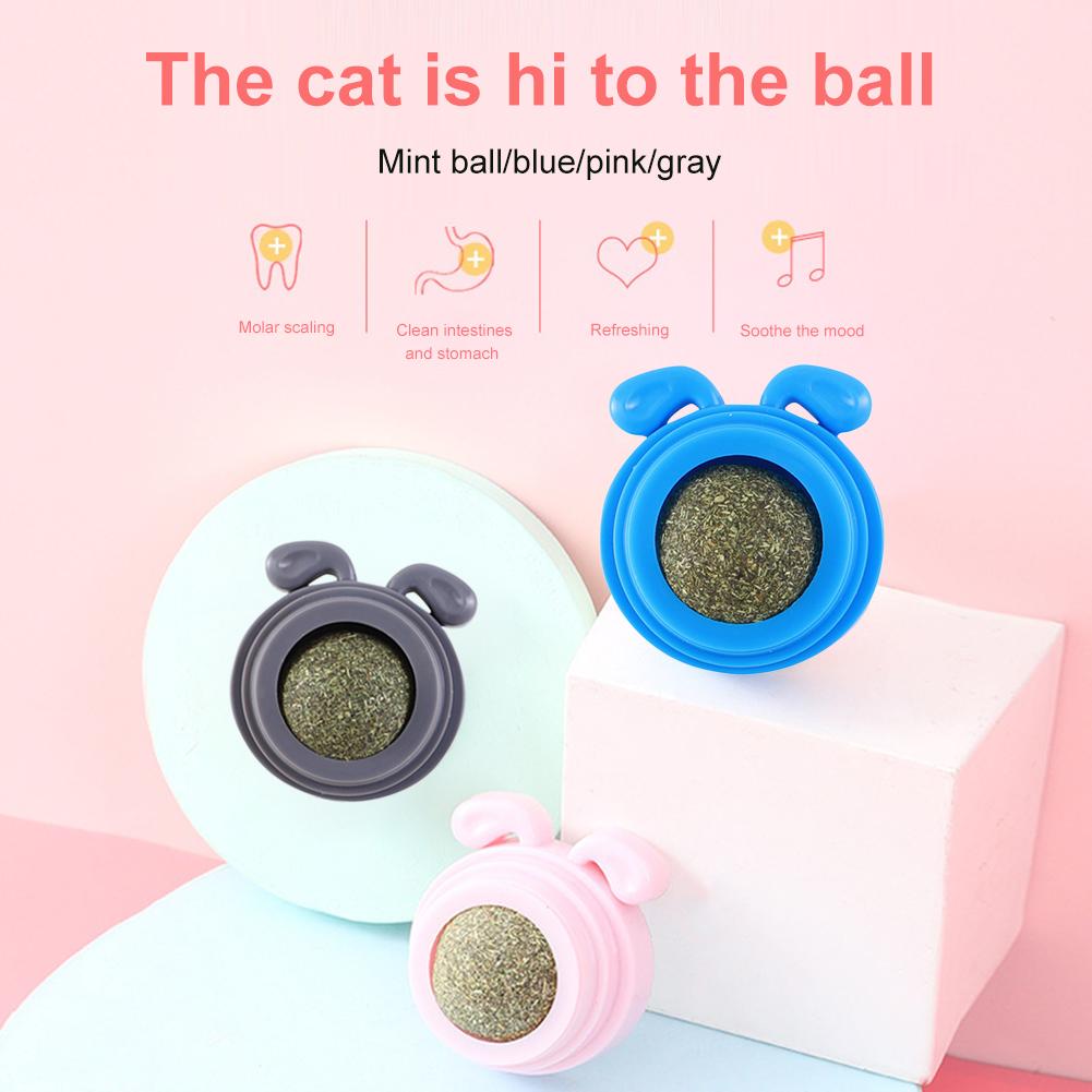 Plastic Catnip Edible Lick Balls Natural Safe Dog Head Shape Catnip Balls Toy for Cats Replaceable Rotatable Pet Treats Supplies
