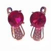 Purple Gold Rose Gold Plated Red Shiny Diamond Earrings Stylish And Exquisite Design Color Gold Ear Jewelry