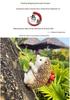 Hanging Hedgehog Tree Ornament for Outdoor Gardens & Micro Landscape Decor