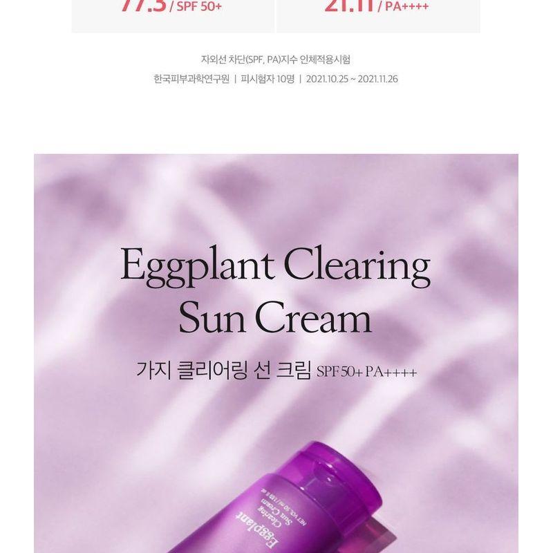 papa recipe - Eggplant Clearing Sun Cream