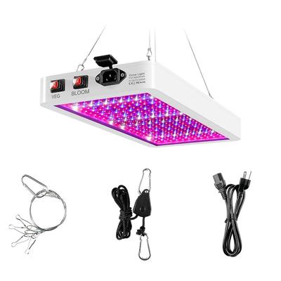 Illuminazione professionale – Lampade per coltivazione indoor
