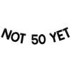 Not 50 Yet Banner - Last Year In My 40s Banner, Happy 49th Birthday Sign, Cheers To 49 Years, Funny 49th Birthday Party Decorations Black Glitter