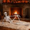 Lebensechte Skelett-Dekoration 3 Fuß Lebensgröße Halloween-Skelett, Vollkörper-bewegliches Kunststoff-Requisit, Realistisches bewegliches Requisit Menschliches Knochenmodell für