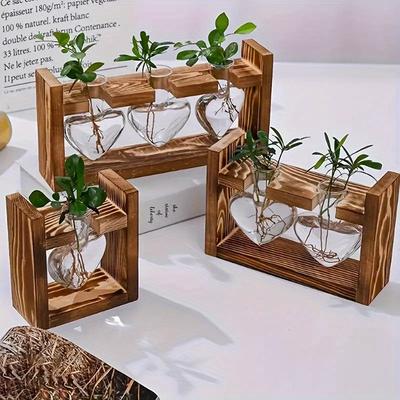 Kreative holz rahmen hydrokultur kleine vase grün spirale kiefer glas behälter wohnzimmer schreibtisch hause dekoration petrischale
