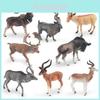 Premium Quality Static Plastic Wild Animal Figurines Including Antelope And Stag Models For Home Decor And Educational Use