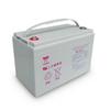 Yuasa NP12-12 12V 12Ah VRLA Battery