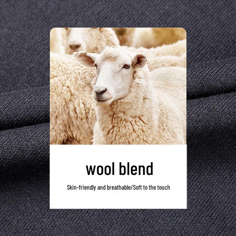 Caizi Men's Pullover Knit Sweater 91256M1720