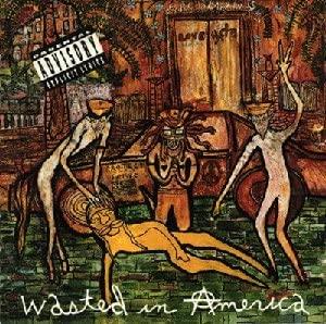 

CD LOVE; HATE - Wasted in America CK46226 Japan Rock Used
