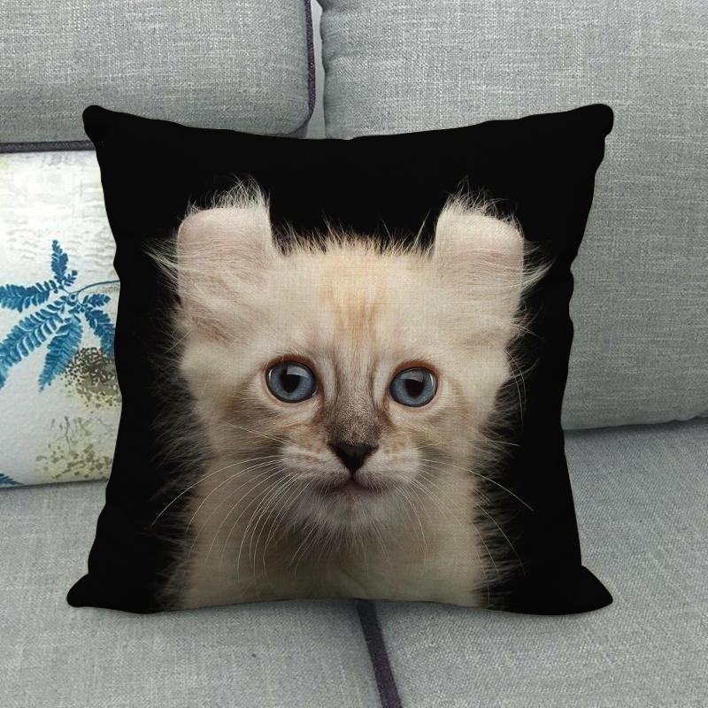 Uroczy zwierzęcy nadruk z kotem seria Sofa kreatywna poduszka prosta poduszka domowa impreza samochód