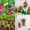20Pcs Red & Black Nursery Pots Reusable Seed Starter Trays for Hydroponic Plants Flower Growing Home & Outdoor Planter Supplies