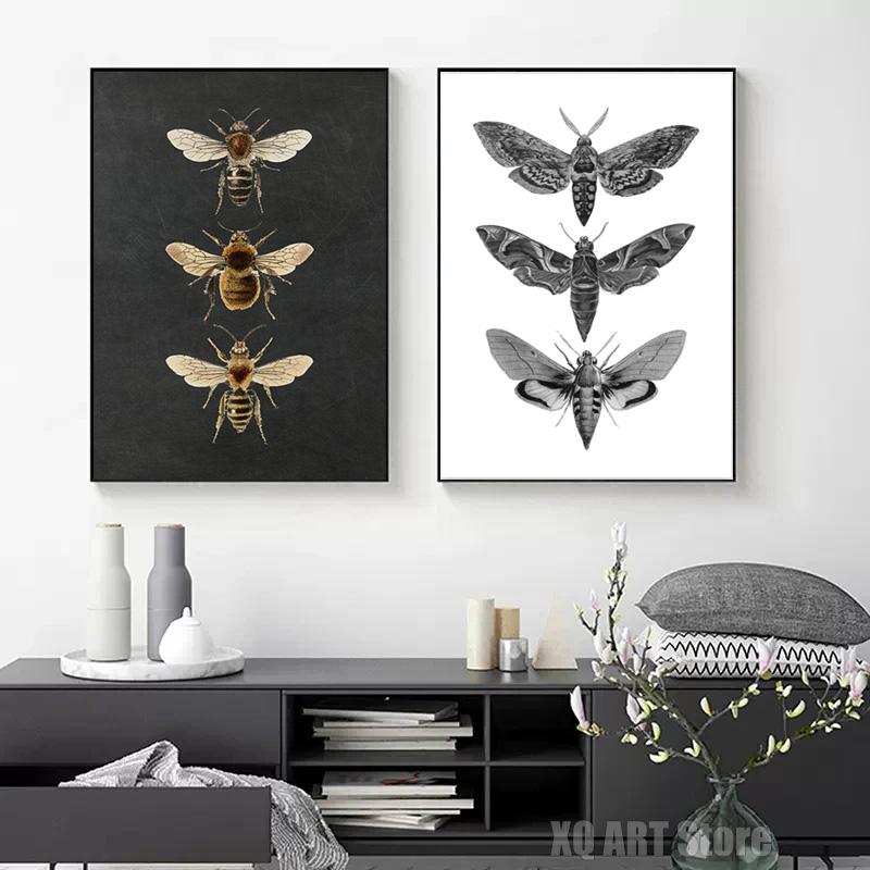Vintage Moth Nature Insect Prints Posters Home Wall Decor Animal Educational Pictures Canvas Paintings Kids Room Art Decoration