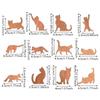 12pcs Different Shapes Cat Wooden Crafts, Stackable Cat Ornament DIY Crafts Graffiti Pet Themed Birthday and Holiday Party
