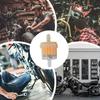 Motorcykeloljefilter Genomskinliga Motorcykeloljefilter Inline Motorcykeltillbehör Mångsidiga Filterelement För Exakt