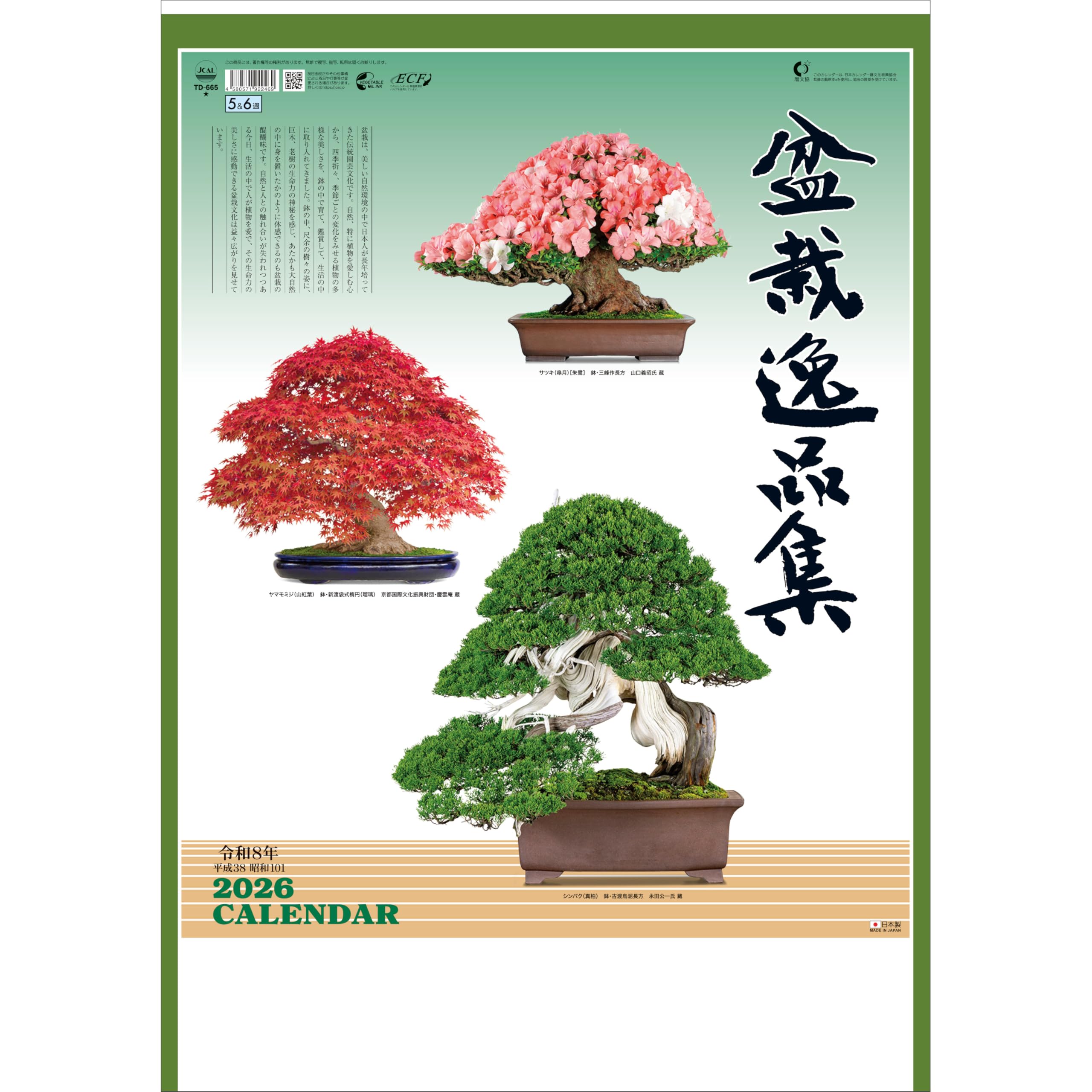 

Todan 2026 Wall Calendar Bonsai Masterpiece 60 x Collection, 42.5cm, TD-665