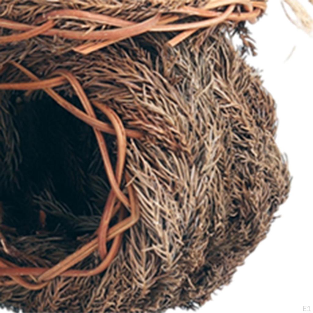 Miniature Parrot Egg Figurine Fairy Garden Decoration Bonsai Modern for Office Patio Outside Outdoor