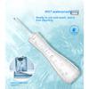 Household electric tooth rinser, tooth cleaner, water flosser, water flosser