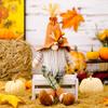 1/2PC Fall Dwarf Elf Dolls Scandinavian Swedish Tomte Gnomes Thanksgiving Decoration Harvest Elf Dwarf with Sunflower Maple Leaf