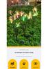 Solar-Powered Fiber Optic Butterfly Garden Lights, Waterproof Outdoor Decoration