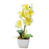 Luxurious Simulated Phalaenopsis Artificial Plant for Exclusive Boutiques