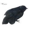 Scary Outdoor Yard Decor Realistic Black Crow Halloween Decor, Lifelike Feathered Raven Figurine Prop Creepy Home Items for Haunted House, Artificial