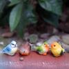 Simulation Wild Birds Animal Toys Cute Mini Parrot Model Figures Miniature Landscape Ornament Household Decoration Gifts