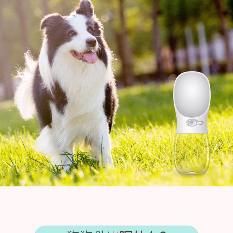 Portable Outdoor Dog Water Bottle - Travel Pet Cup