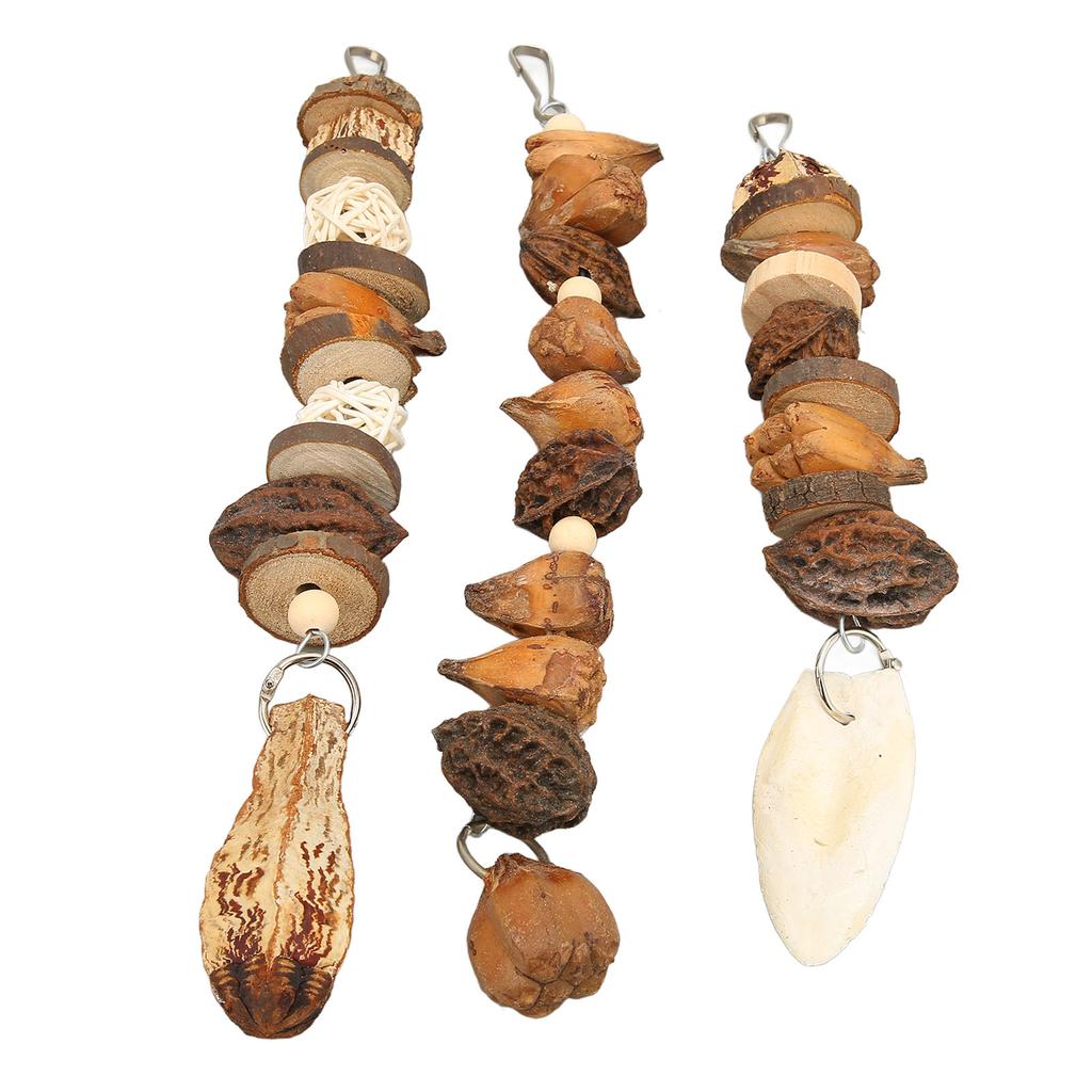 Bird Bite Toy Set Nutty Vine Ball Cuttlebone Hanging Parrot Chewing String with Stainless Steel Hooks for Birds