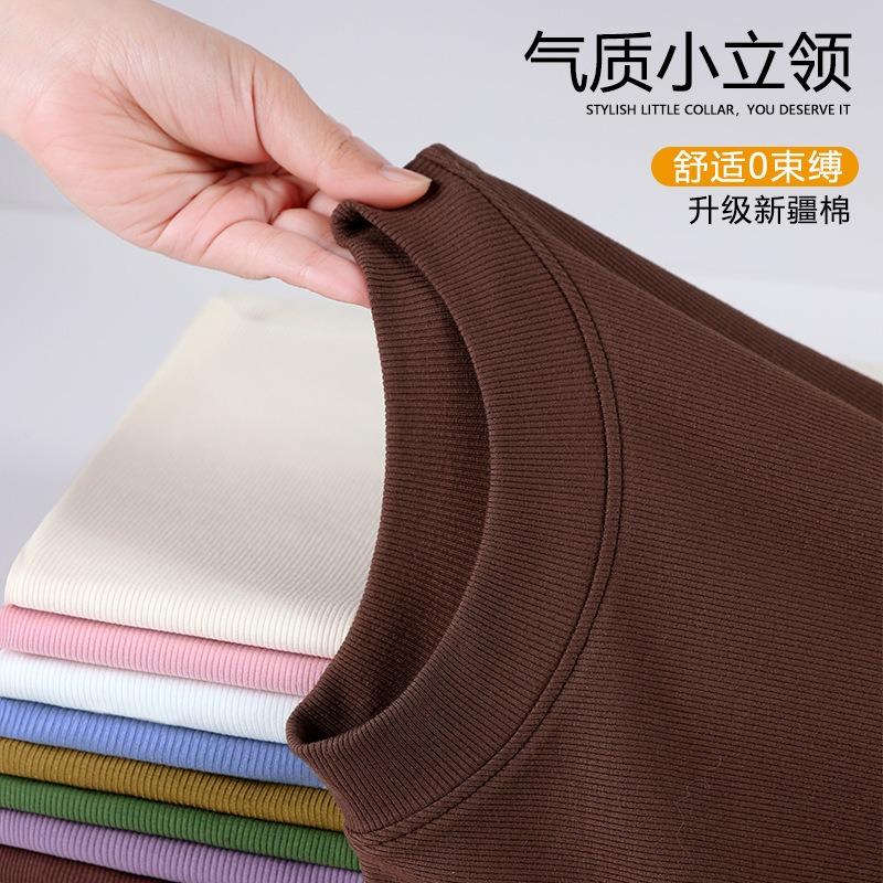 Small Stand-up Neck Bottoming Shirt with Stacked Top Inside, Summer New Basic Versatile Slim-fitting Long-sleeved T-shirt for Women