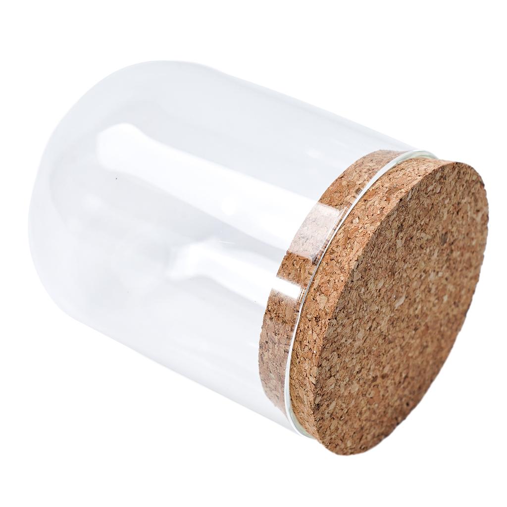 8/10/12cm Modern Handcraft Glass Dome Cover Dry Flower Vase With Wood Cork Base Landcrape Figurines Model Display Artwork