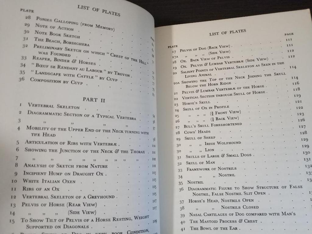 [USED] Anomal Painting and Anatomy Dover