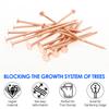 15/20 Pcs Copper Nail for Killing Trees Stumps and Roots Heavy Duty Rustproof Copper Nail Spike Tree Root Killer for Gardening