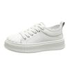 Shell Head Small White Shoes Women's  Spring New Thick-soled Casual All-match Biscuit Bottom Sports Board Shoes