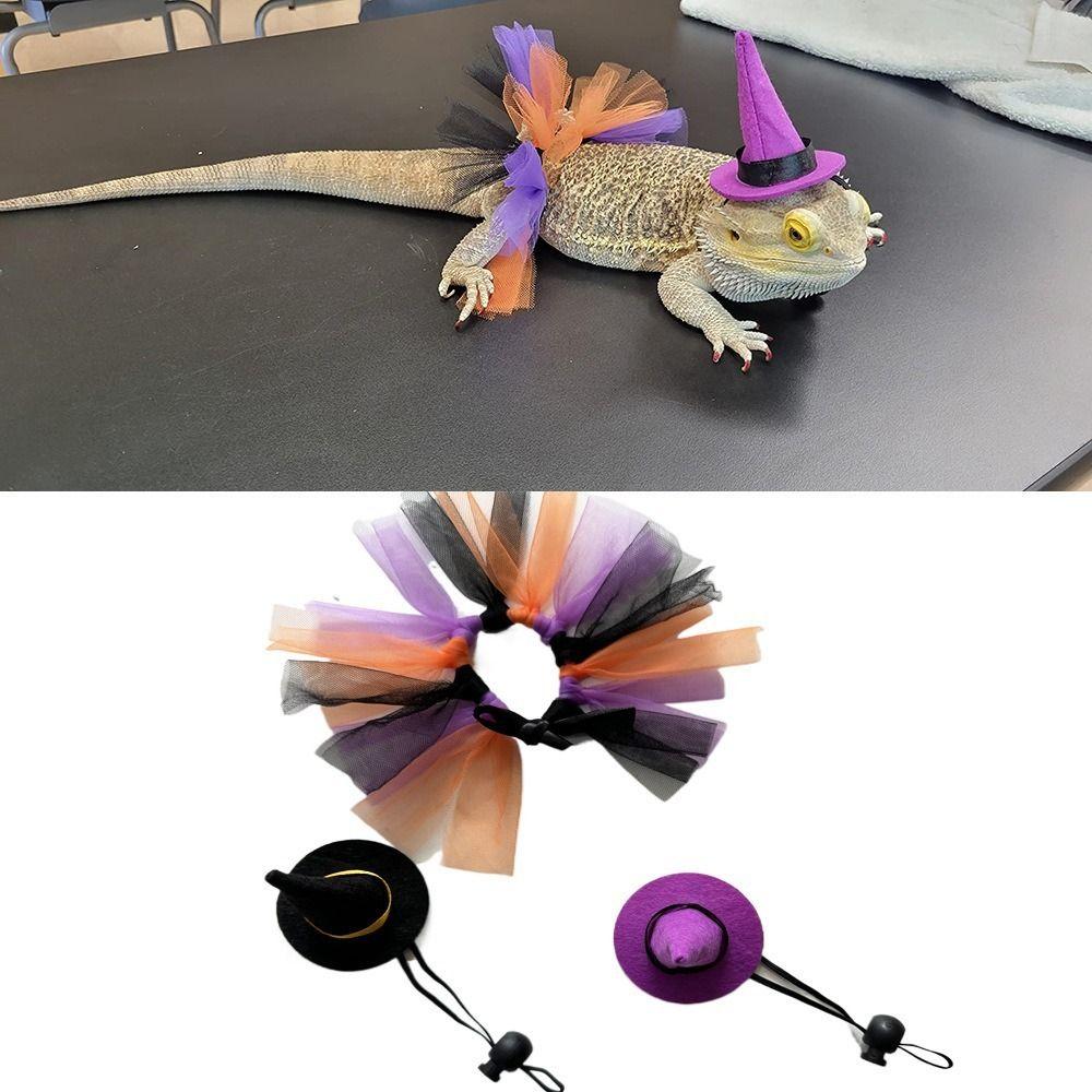 Soft Lizard Witch Costume Set Comfortable Mini Hamster Witch Hats Costume Outfits