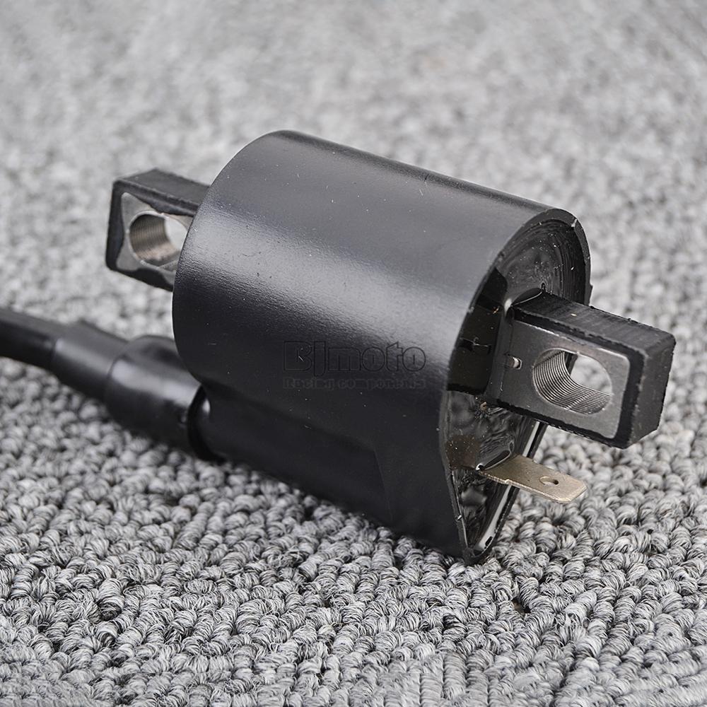 Ignition Coil Assy For Suzuki LTF160 LT160 LT4WD LTF250F QuadRunner 2WD 4WD Ozark 1990-2007 33410-02C00 33410-02C01 33410-19B00