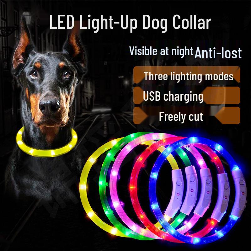 Rechargeable Luminous Dog Collar: Anti-Lost Night Light for Small, Medium & Large Dogs