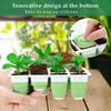 Seedling Starter Trays Seed Starter Kit 12-Cells Silicone Reusable Germination Tray for Garden Greenhouse Backyard Planting