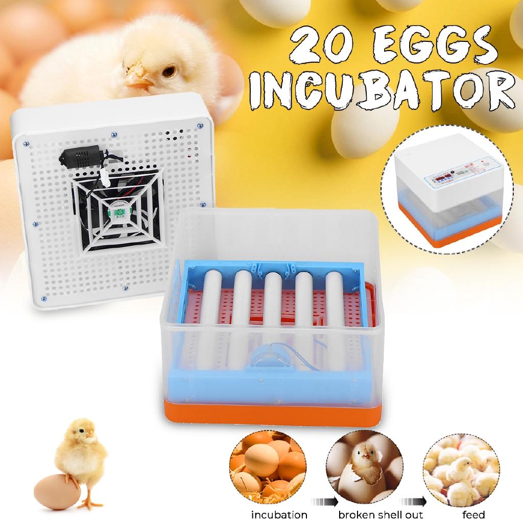 12V 20 Eggs Intelligent Full-automatic Egg Incubator Hatcher Electronic Hatching Machine For Chicken Duck Transparent