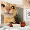 VIKAMA Lustiges Katzenmotiv Wandteppich Niedliches Tier Wandbehang Boho Schlafzimmer Dekor Wohnzimmer Schlafzimmer Ästhetisches Kunstdrucktuch