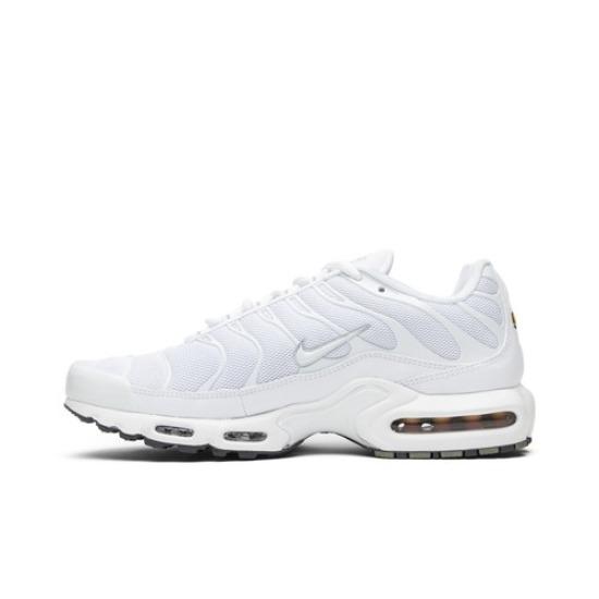Nike Air Max Plus Weiß 604133-139