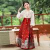 Children's Hanfu Set: Women's Mian Skirt with Embroidered Shirt, 2025 Tang Suit Style.