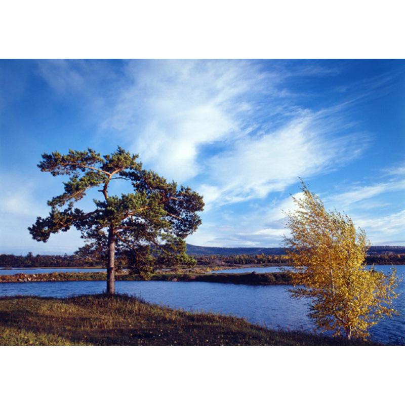 Siberian Scenery Poster: Kraft Paper Framed Wall Art