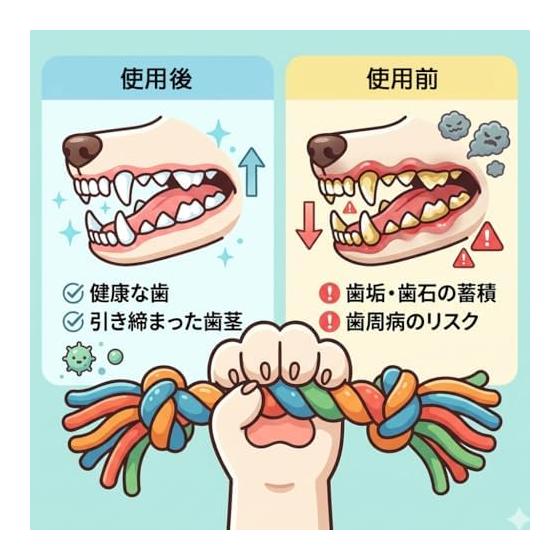 (Pettilo) Dog Toy Rope Set of 5, Durable, Sturdy, Popular, For Puppies and Small Dogs <<100% Natural Cotton>> Pet Chew Toy, Rope, String, Pull,
