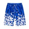 Men's Swim Trunks Quick Dry Beach Surfing Running Swimming Drawstring Shorts
