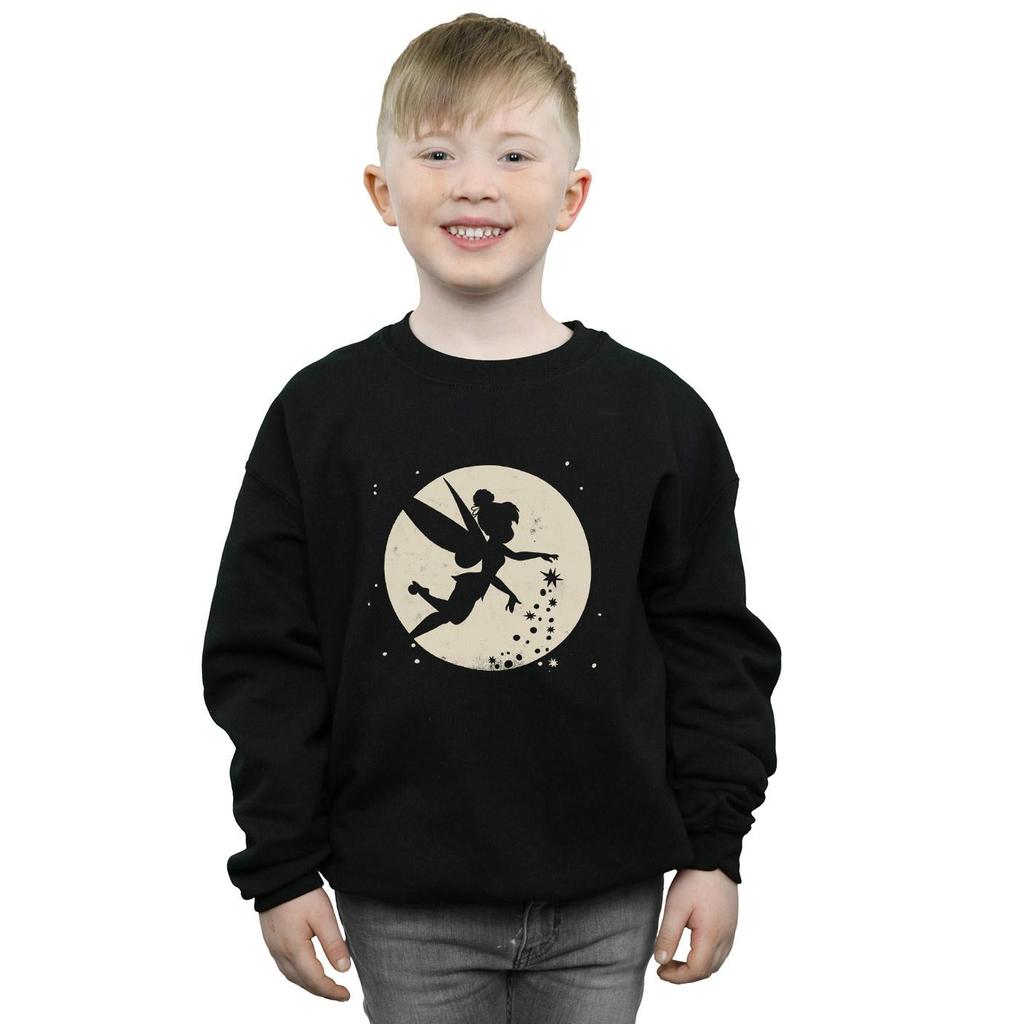 Disney Boys Tinkerbell Moon Cropped Sweatshirt