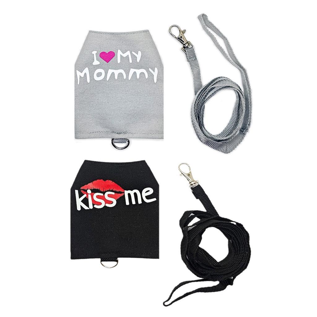 Verstellbares Geschirr für Bartagamen mit kurzer Leine. Bequemes Geschirr für Reptilien-Laufausrüstung für Outdoor-Aktivitäten