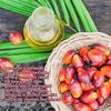 Bathana Hair Oil: A Nourishing Treatment To Smooth and Repair Dry, Frizzy Hair less