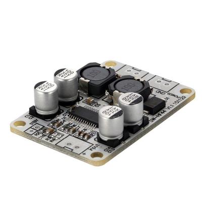 Easy TPA3110 Mono 30W Digital Amplifier Circuit Board