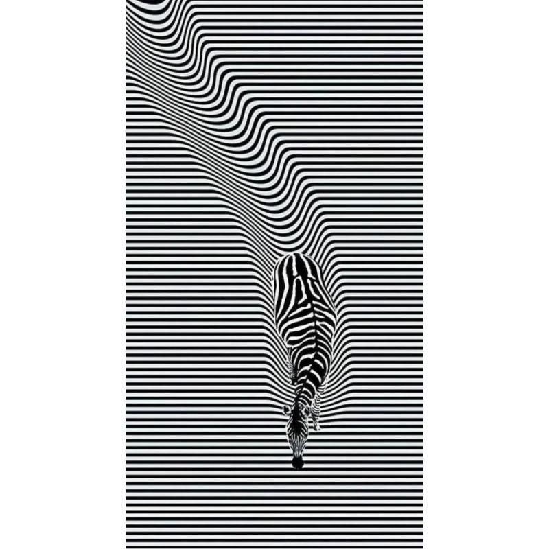 

Zebra Rug Striped Rug Black and White Rug Zebra Pattern Carpet Living Room Rug Animal Rug Cool Rug Salon Decor Rug Aesthetic Rug 40x60cm