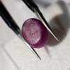 CERTIFIED 7.10 Ct Natural Amazing RED Star Ruby Oval Shape Loose Gemstone VA-841